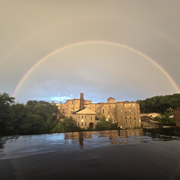 Hi! I'm Chantelle! Welcome to Lady Lily’s Boutique - Picture 15 of 16